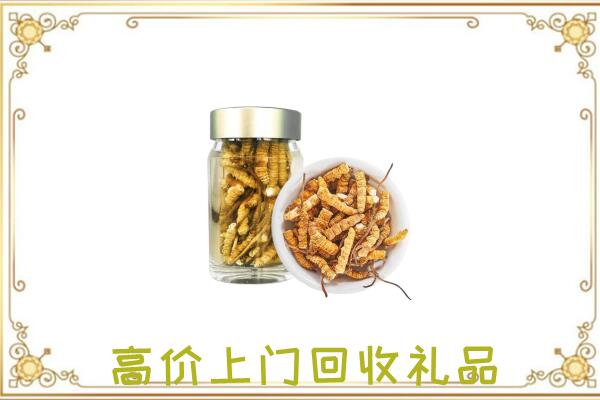 柳林周边回收虫草